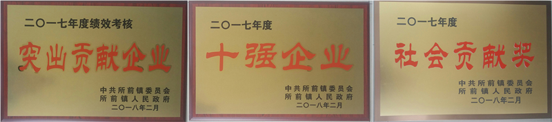 新光公司再獲所前鎮(zhèn)&ldquo;突出企業(yè)貢獻(xiàn)獎&rdquo;等多項榮譽