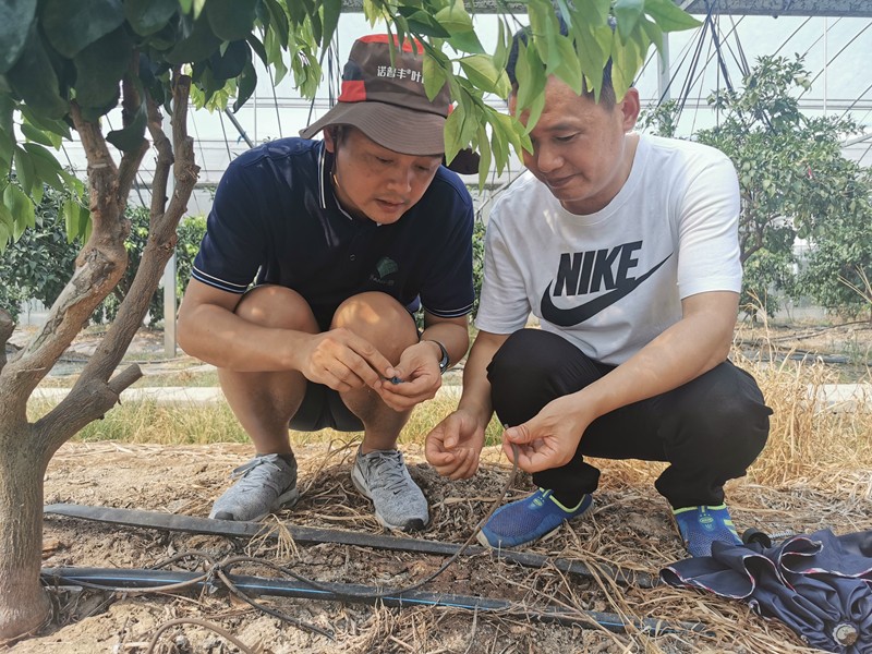 童旭宏：扎根田間的&ldquo;化肥博士&rdquo; 用專業(yè)造福農(nóng)戶