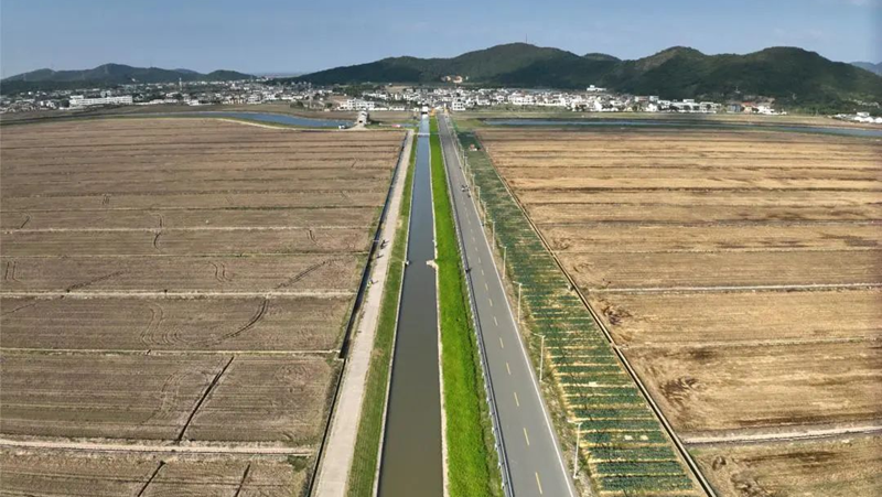 鹽堿地蝶變豐產田！浙農科技岱山項目打造&ldquo;未來生態農場&rdquo;