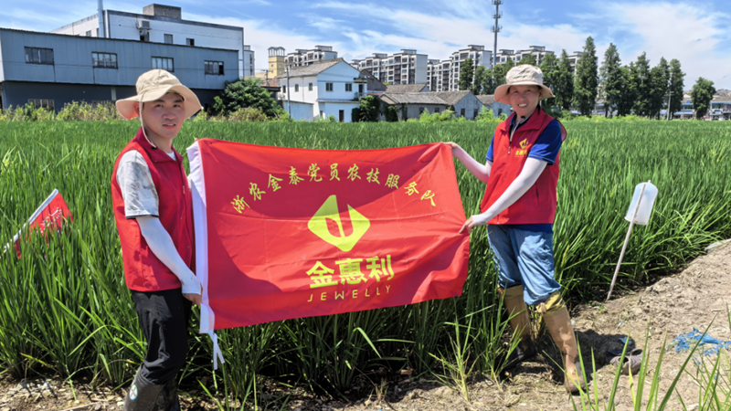 浙農金泰：黨員田間服務站助力農業穩產增產
